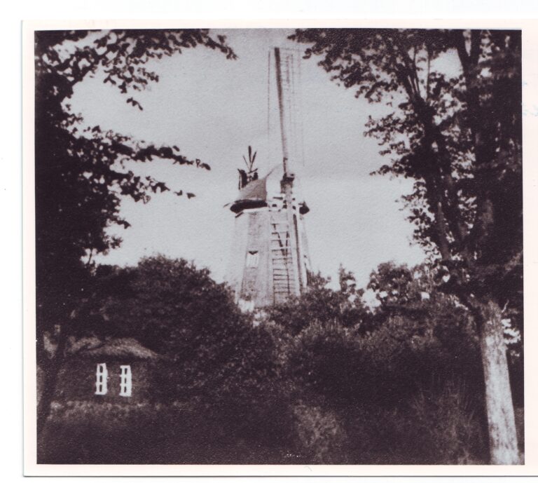 Mühle Hooksiel 1929