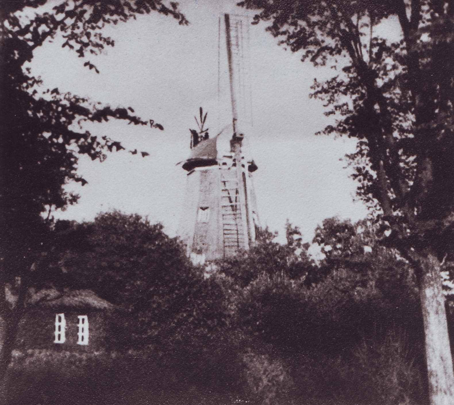 Mühle Hooksiel 1929