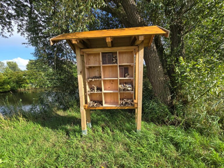 Bank und Insektenhotel