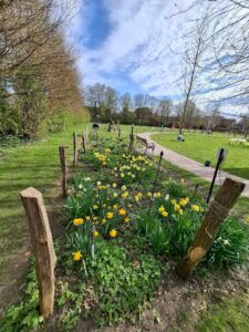 Im Garten der Generationen hält der Frühling Einzug